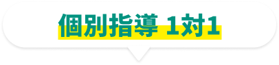 個別指導1対1の価格です。